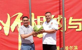 新东方助教吃瓜,揭秘教育行业背后的“瓜”