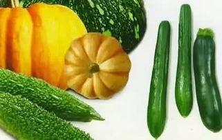 话筒吃瓜,揭秘娱乐圈幕后故事