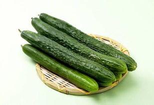 中午吃瓜黄瓜,黄瓜瓜果，清爽一夏