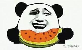 吃瓜群众吃到最甜的瓜,揭秘最甜瓜子的秘密