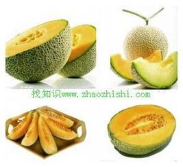 胃溃疡能否吃哈密瓜