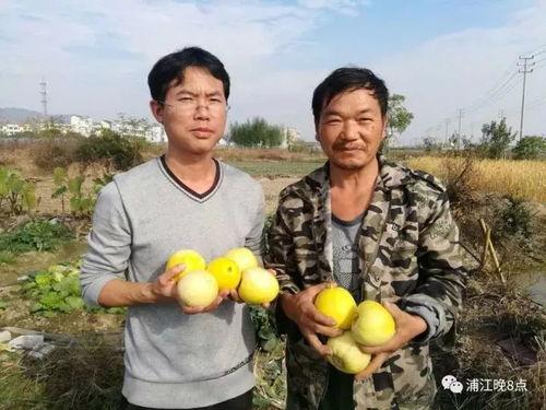 优美吃瓜群众活动,跟随优美吃瓜群众，共享夏日清凉盛宴