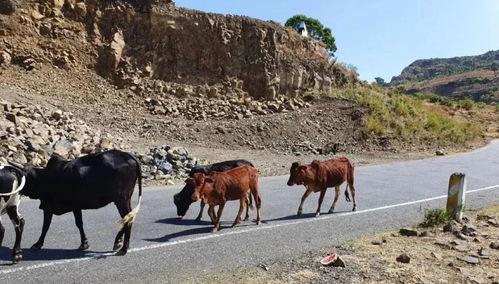 边境现场吃瓜,吃瓜群众的欢乐时光