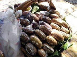 贵阳中介吃瓜,一场吃瓜群众的围观盛宴