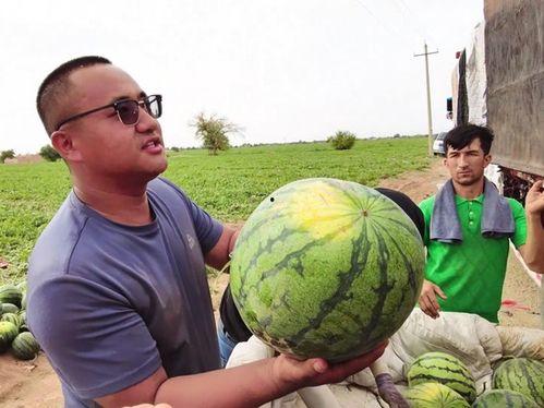 莱芜吃瓜照片,夏日街头美食文化一瞥