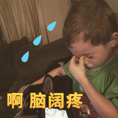 吃瓜不改,吃瓜群众视角下的娱乐圈风云