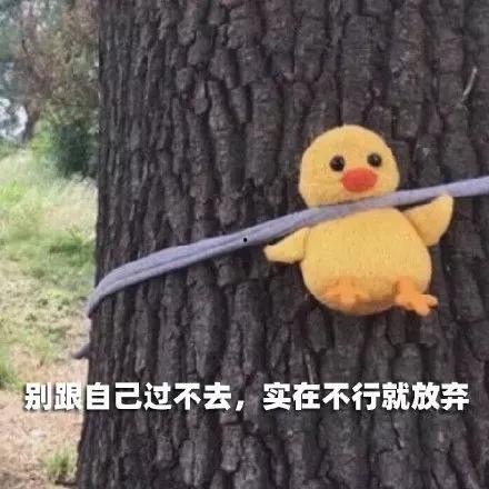 长期吃瓜群头像