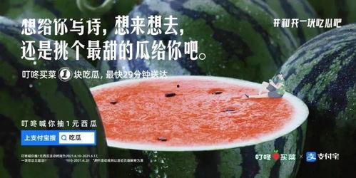 优雅吃瓜的文案,品味生活，轻松解码娱乐圈风云