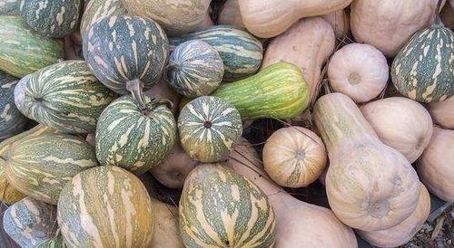 妇女主任吃瓜,揭秘基层干部的酸甜苦辣